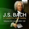 Netherlands Bach Collegium & Pieter Jan Leusink - J.S. Bach: Schmücke dich, o liebe Seele, BWV 180